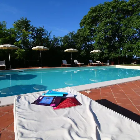 Beautiful In With Swimming Pool
